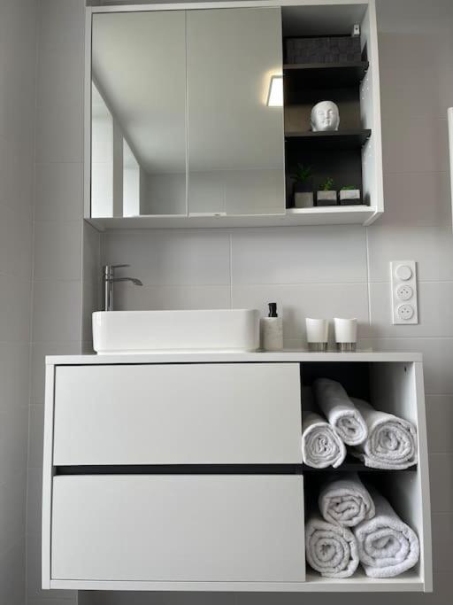 Appartement T3 En Centre-Ville De Thonon-Les-Bains Esterno foto